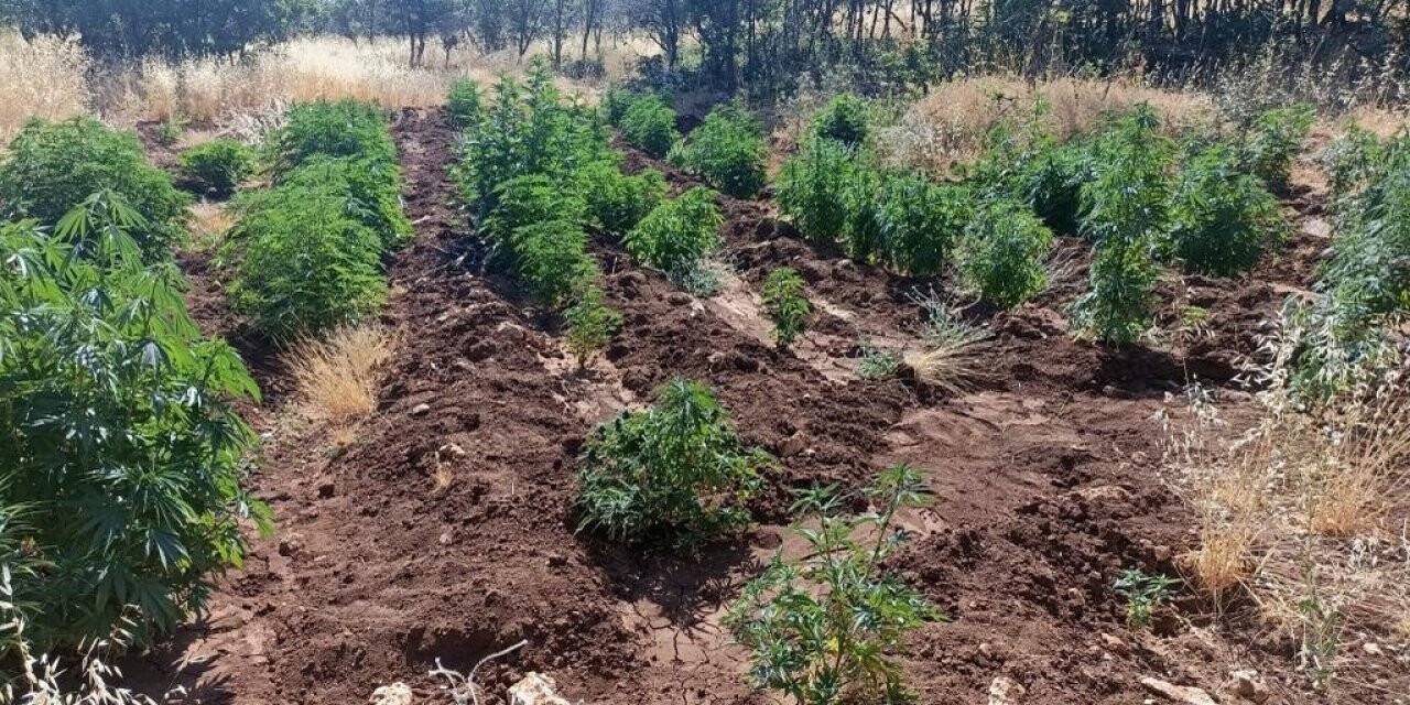 Diyarbakır’da "Eren Abluka-28 Şehit Jandarma Uzman Çavuş Mehmet Arıyeşil" operasyonu başlatıldı