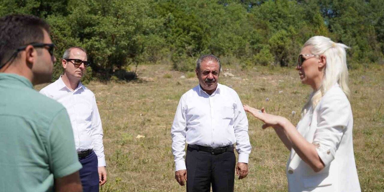 Bilecik’te belediyeye ait tarım arazilerinde ata tohumları ekilip biçilecek