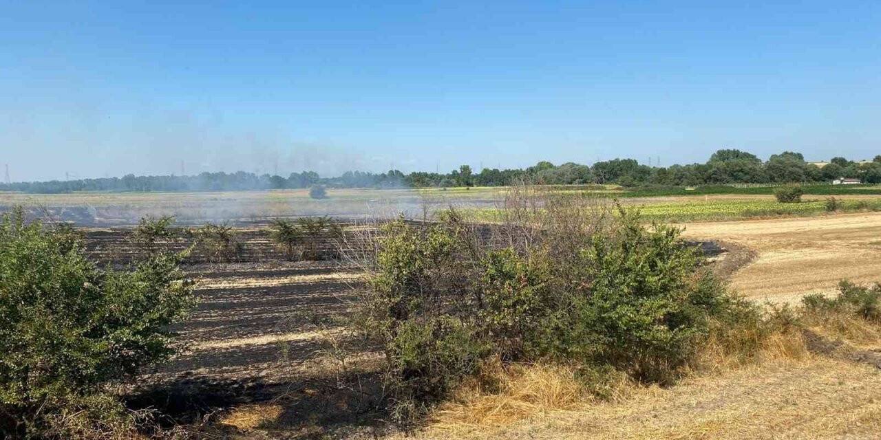 Kırklareli’nde anızlık alanda çıkan yangında 150 dekar alan zarar gördü