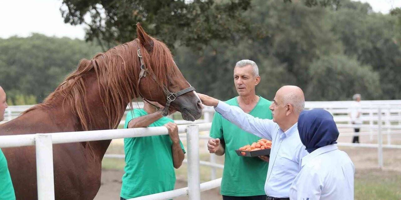 Tarım ve Orman Bakanı Vahit Kirişci: “Cumhurbaşkanımızın duruşu ile tahıl krizi sorunu çözüldü”