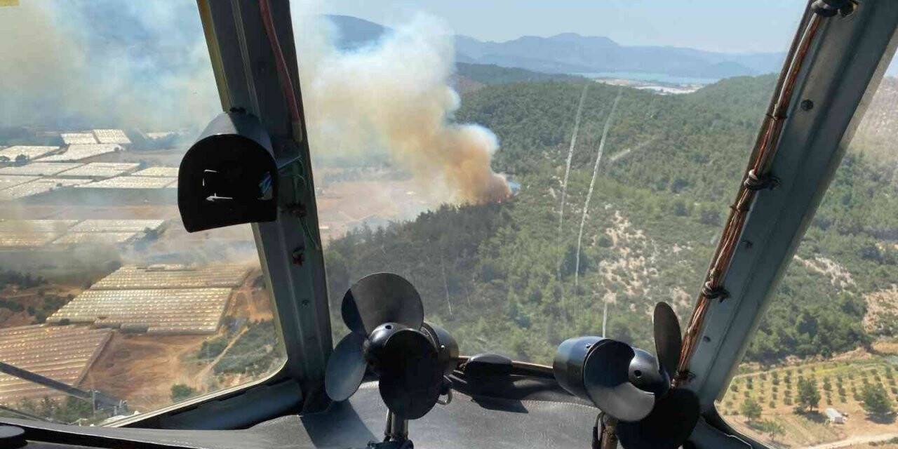 İzmir’de sera yangını