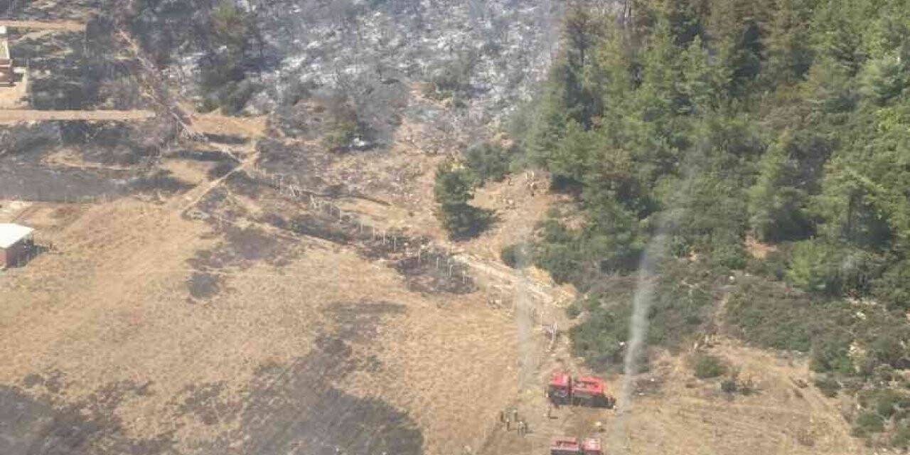 Sera yangınları kontrol altında