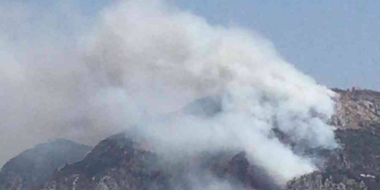 Hatay’daki orman yangını kontrol altına alındı