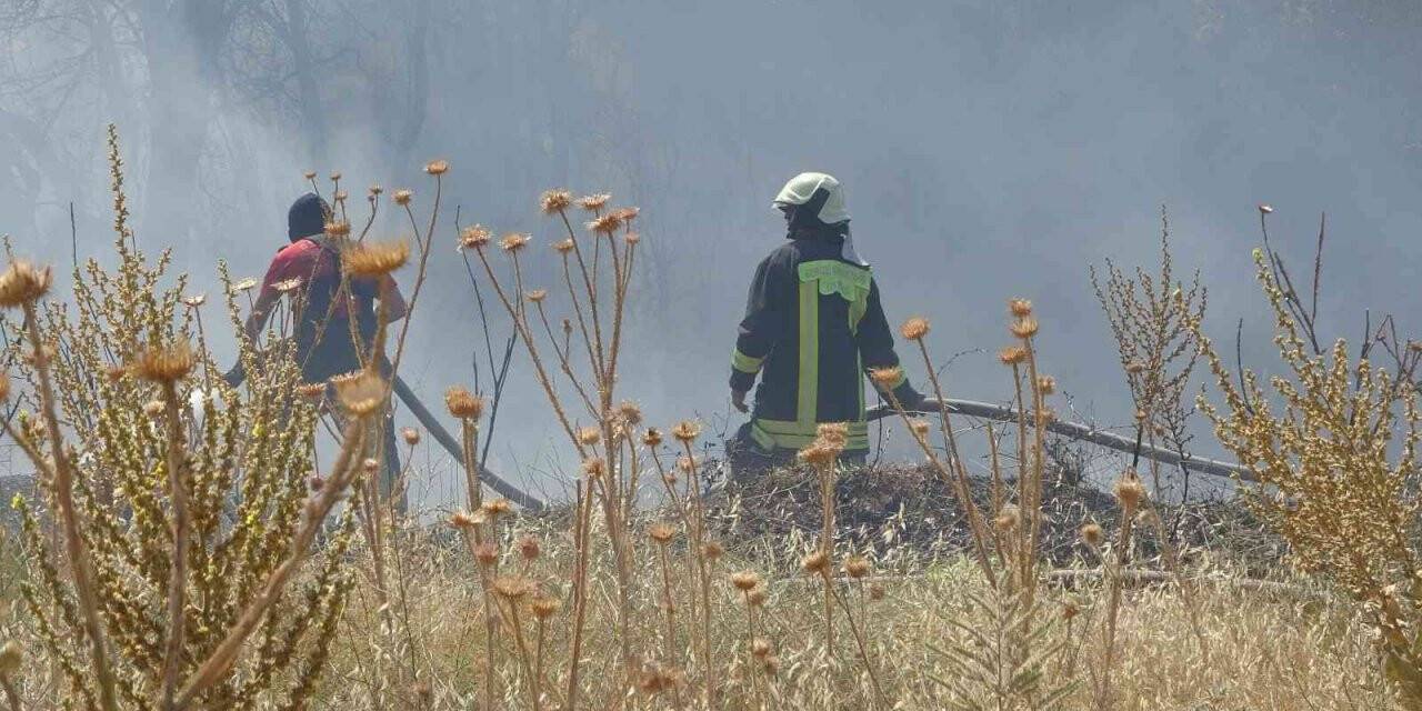 Örtü yangınında arı kovanları ve ağaçlar küle döndü