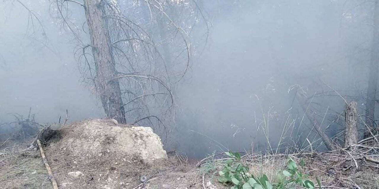 Burdur’da orman yangını