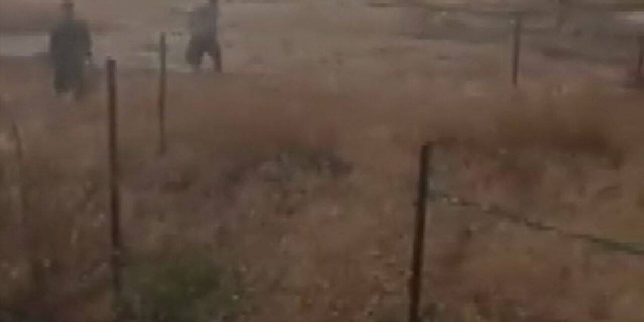 Suriye sınırından kaçak geçiş yapmaya çalışan 7 kişi yakalandı