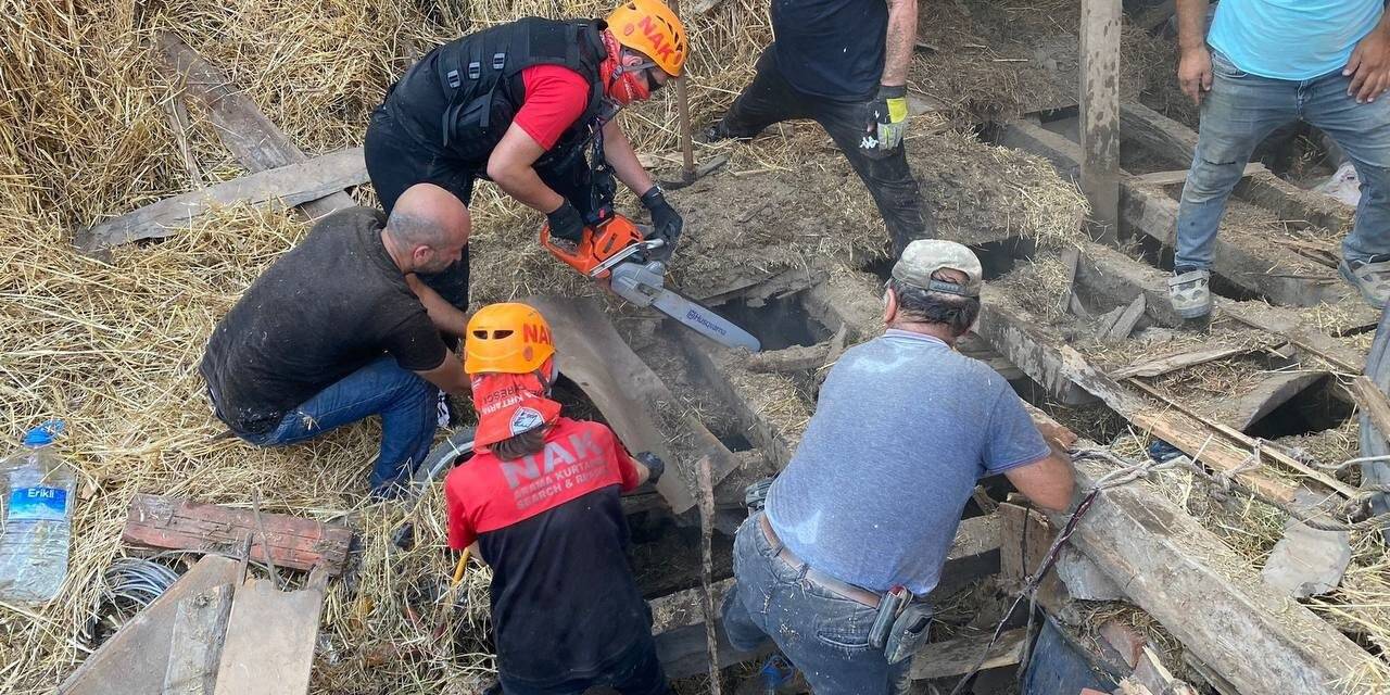 Bursa’da ahır yıkıldı, 5 büyükbaş hayvan telef oldu
