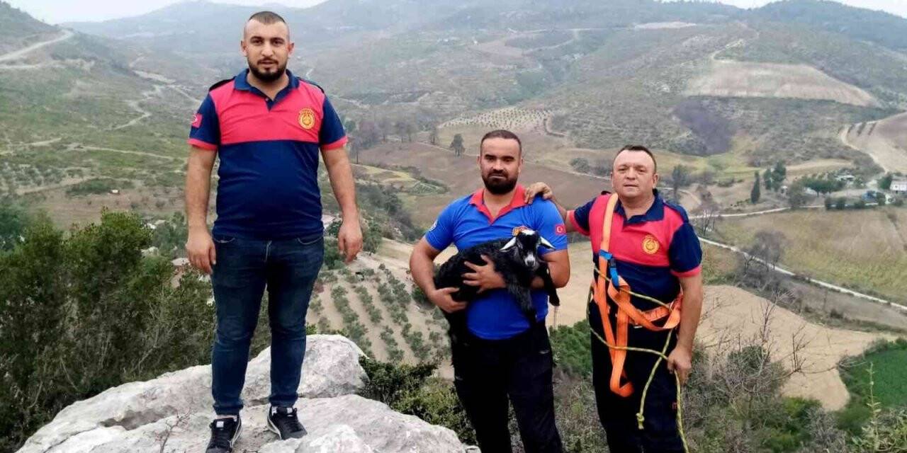 Kayalıklarda mahsur kalan keçi yavrusu kurtarıldı