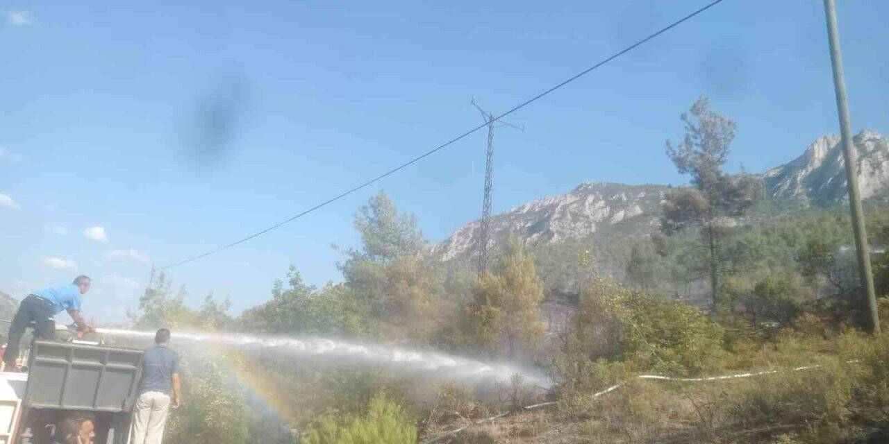 Bilecik’te 6 dönüm ormanlık alan kül oldu
