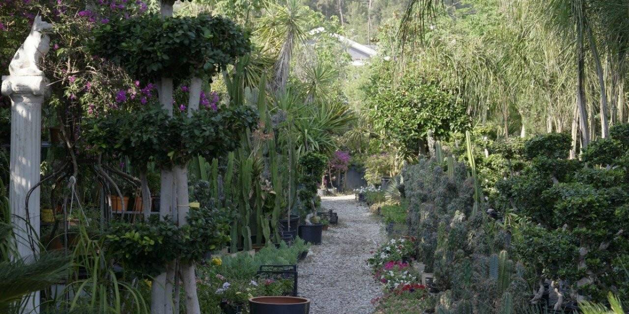 "İnşaat projeleri peyzaj ile değer kazanıyor"