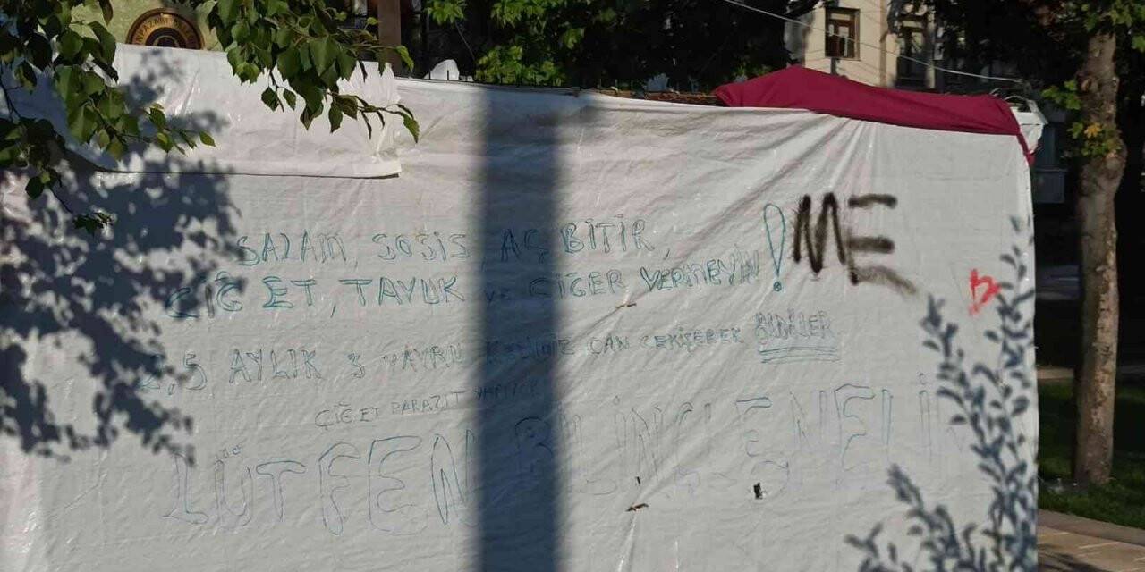 Hayvanseverlerden ‘çiğ et’ uyarısı