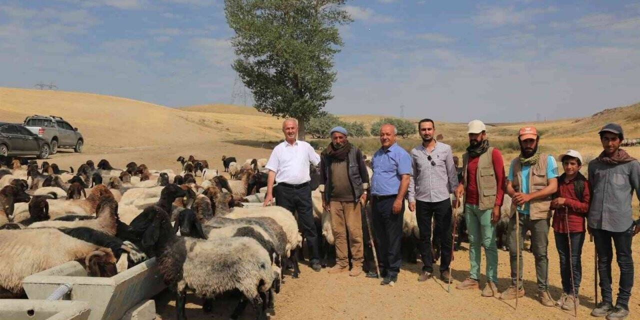 Tuşba Belediyesinden kırsal mahallelere sıvat desteği
