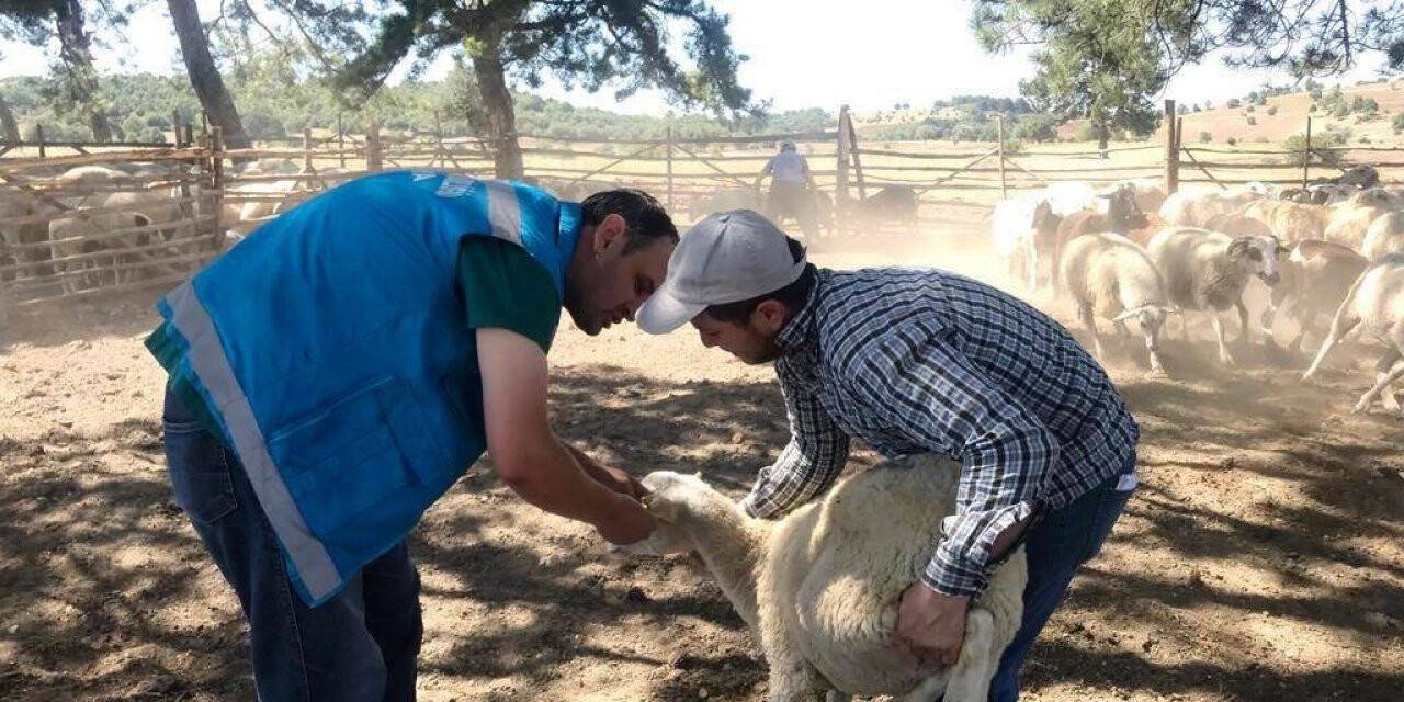 Kütahya’da "Köyümde Yaşamak İçin Bir Sürü Nedenim Var" projesi