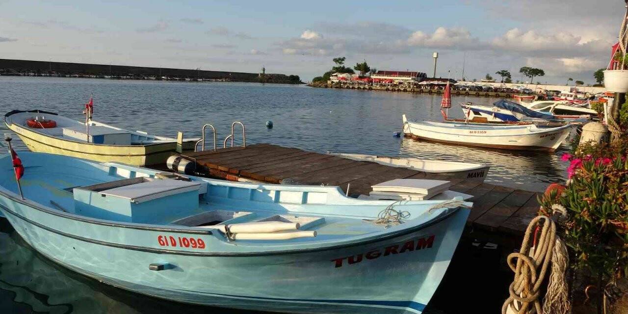 Yeni av sezon öncesinde  palamudun görüntü  vermesi balıkçıları umutlandırdı