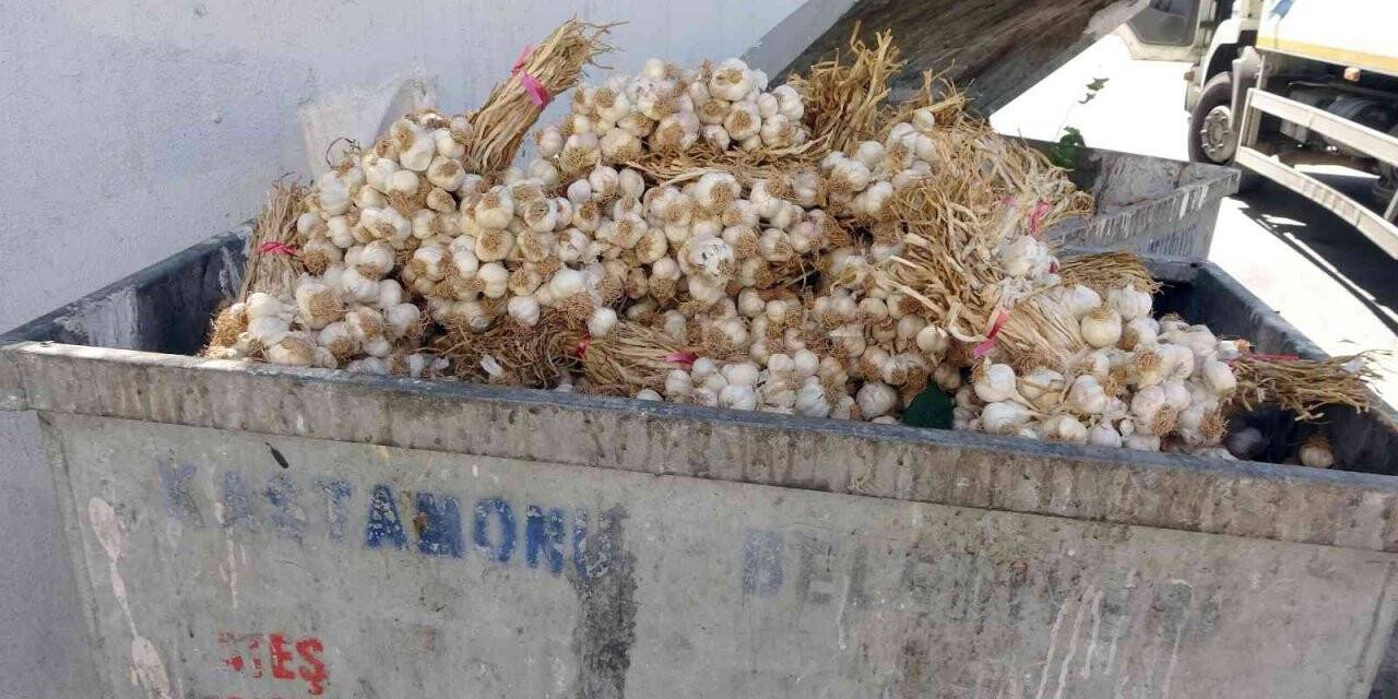 Kilolarca Taşköprü sarımsağını çöp konteynerine attılar