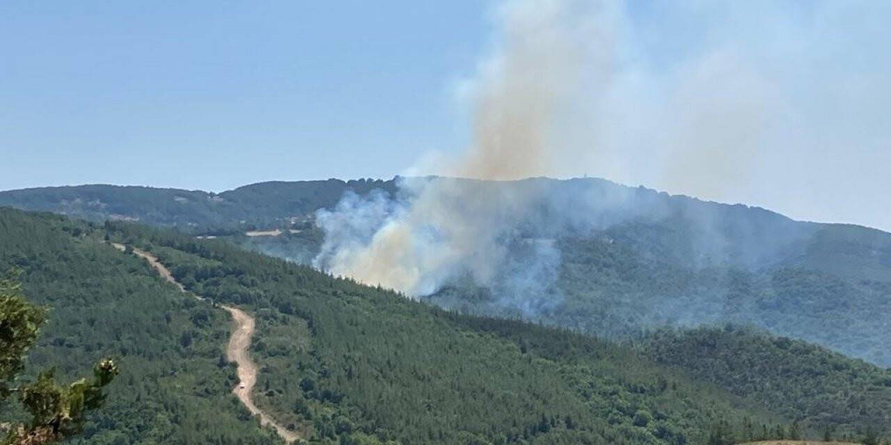 Biga’da çıkan orman yangını kontrol altına alındı