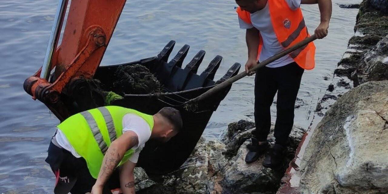 Yalova Belediyesi’nin yosunla mücadelesi devam ediyor