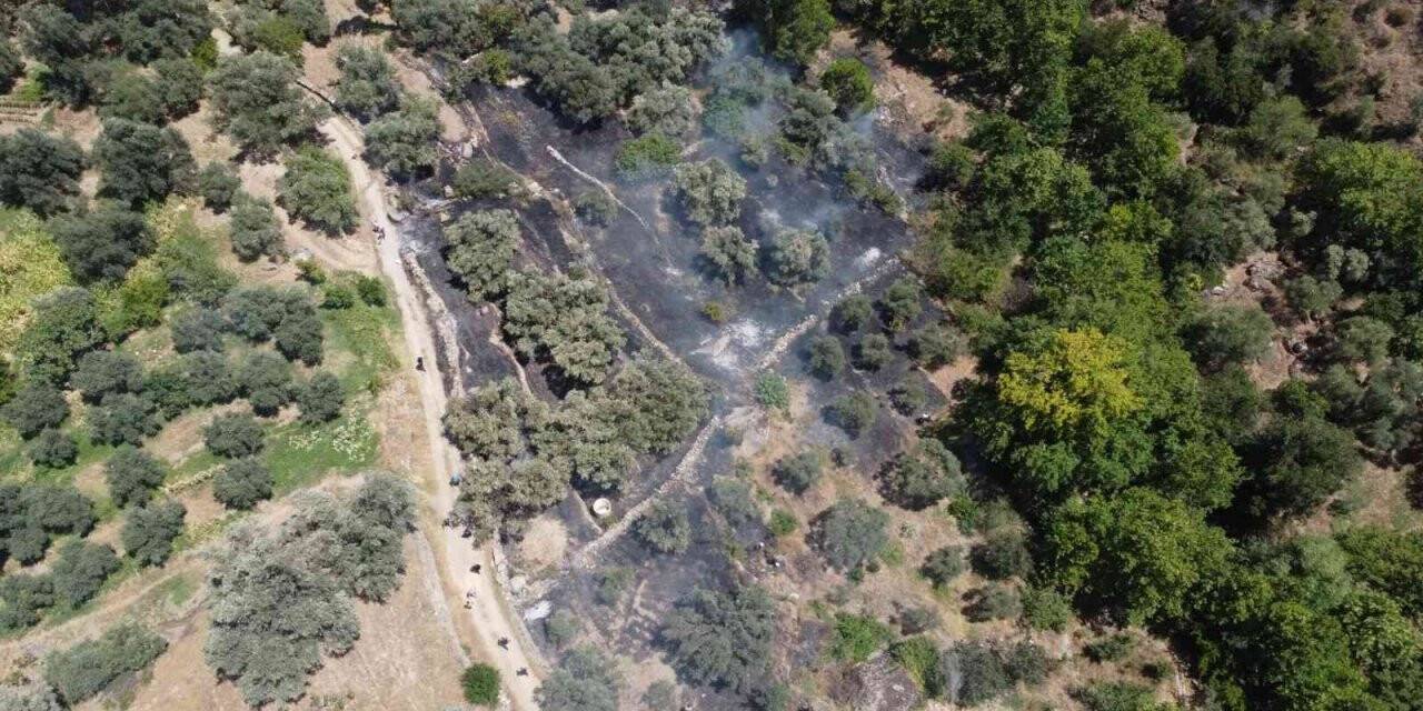 Bozdoğan’da zirai alandaki yangın söndürüldü