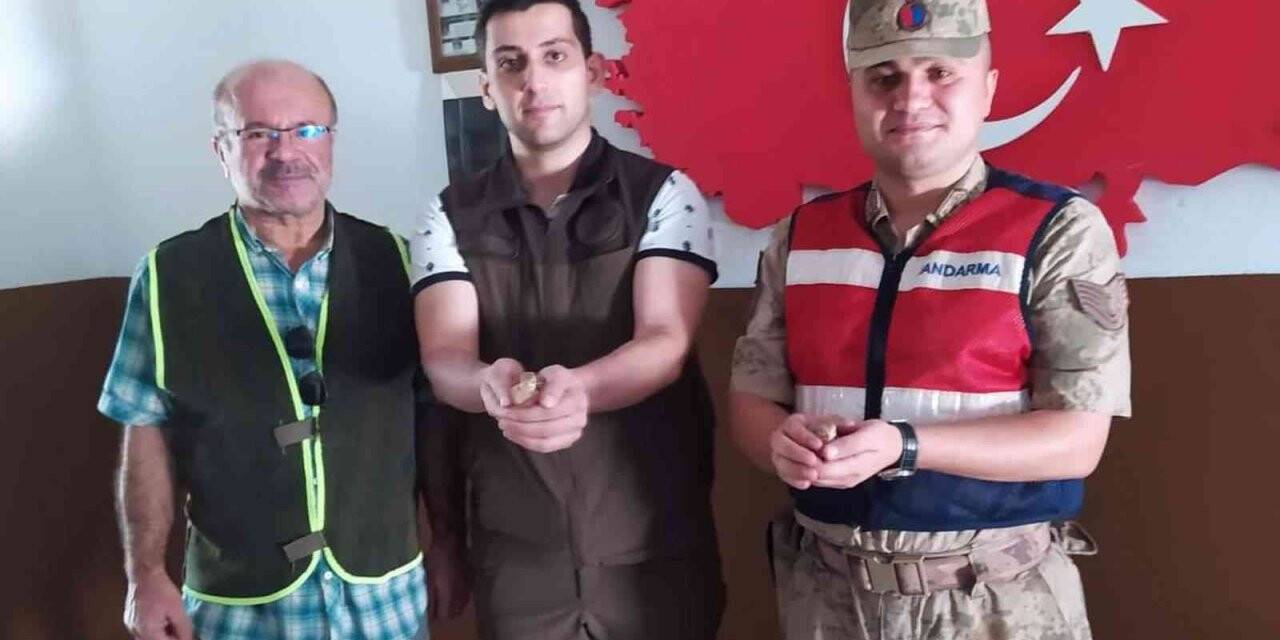 Siirt’te kaçak avcıya para cezası