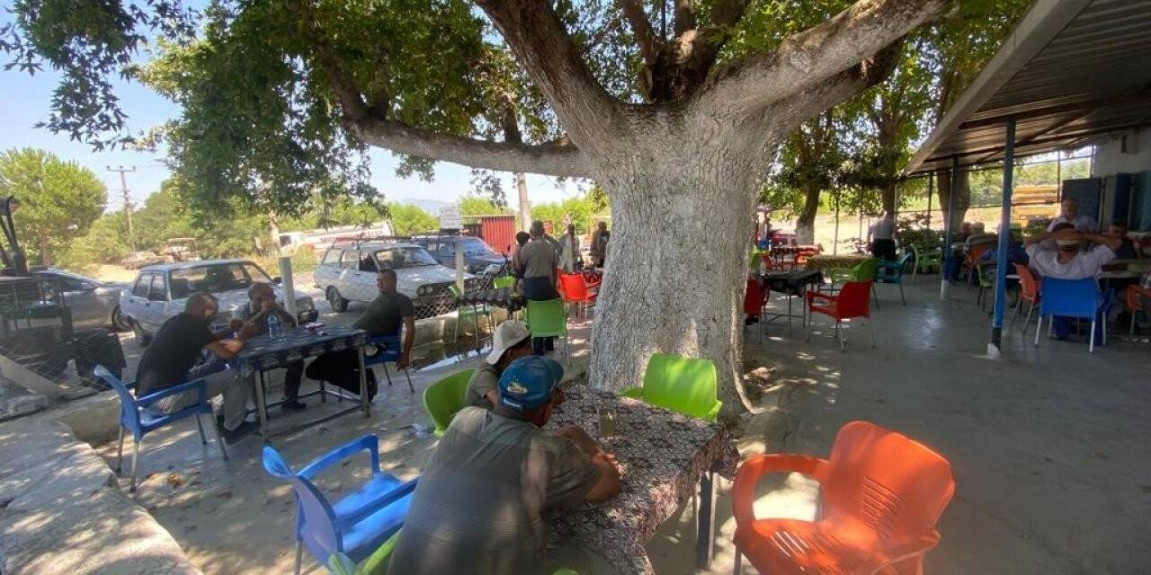 Asırlık çınar ağacının gölgesinde hem serinliyor hem de yorgunluk atıyorlar