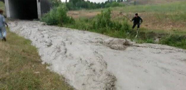 İneğin sel sularındaki çırpınışı VİDEO