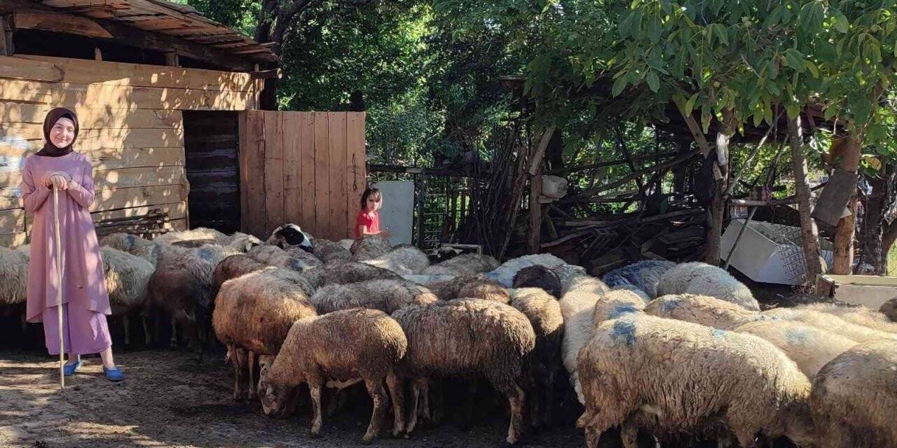 Sinop’ta Uzman Eller projesi başarılı sonuçlandı