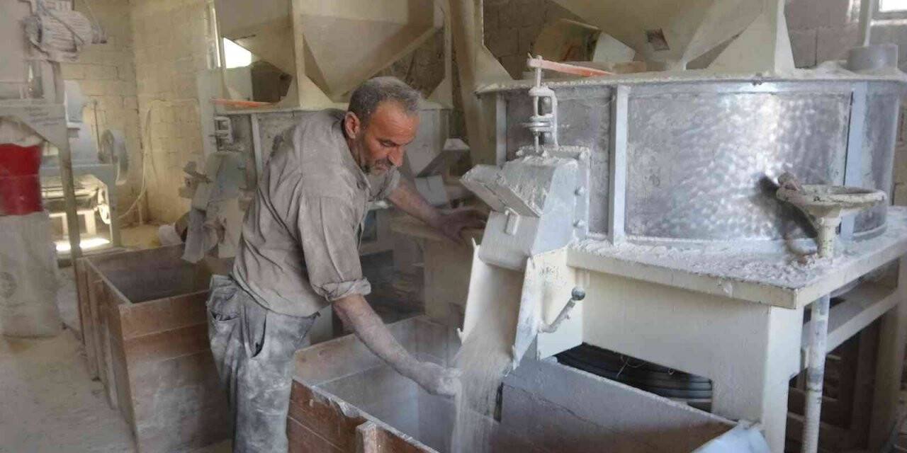 Muş’ta hasadı yapılan buğday değirmenlerde öğütülüyor