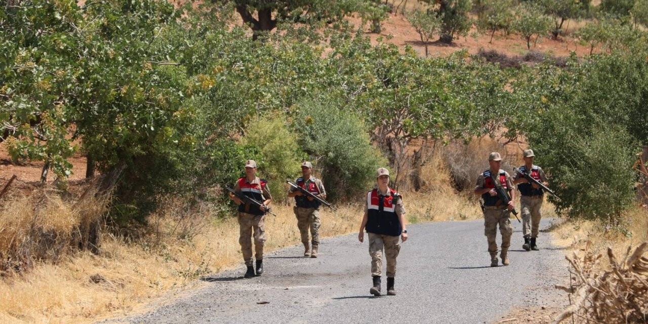 Siirt’te jandarma, fıstık hırsızlığına karşı bağ ve bahçelerde kuş uçurtmuyor