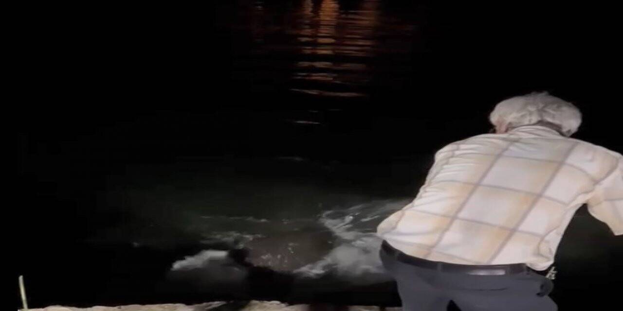 Hem kaçak avlandılar hem de deniz kaplumbağasına zarar verdiler