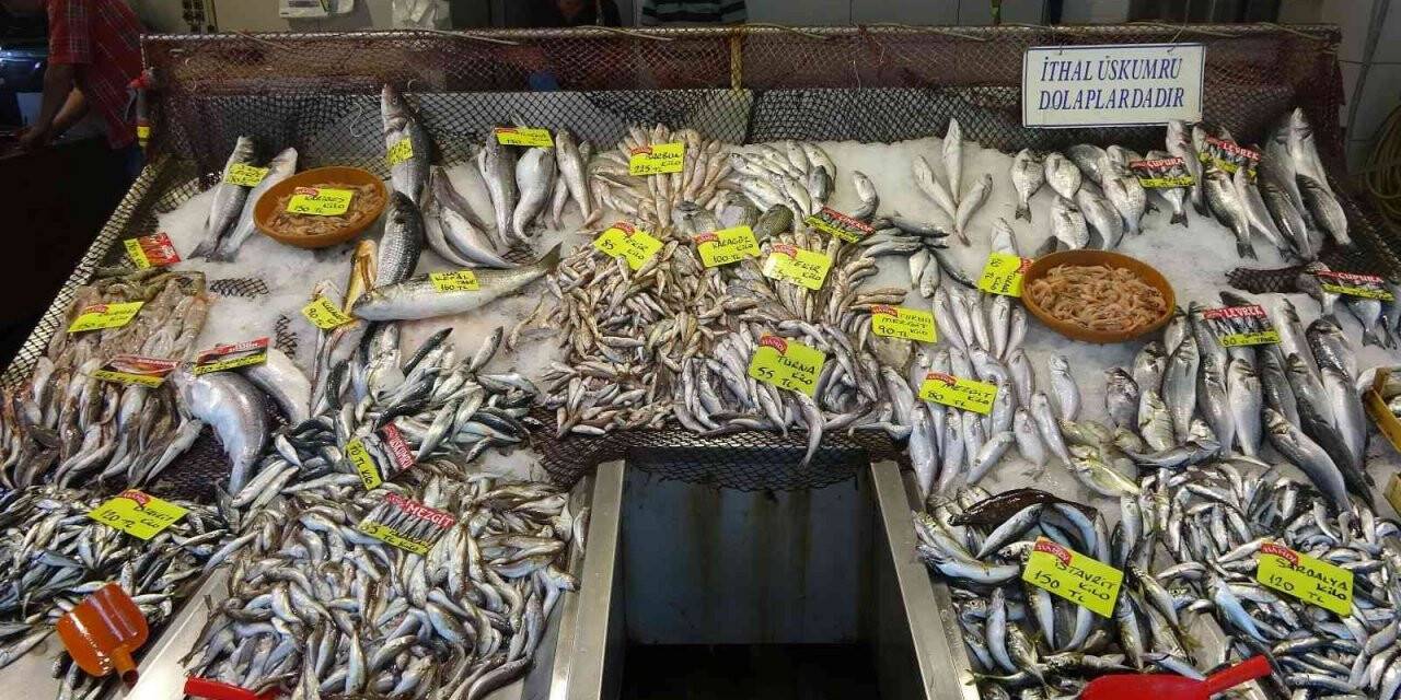 Balıkta bolluk yok, çeşitlilik çok