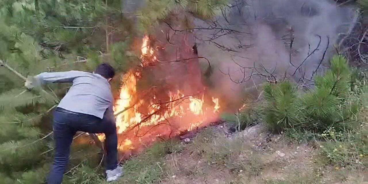 Uygulama yapan polislerin dikkati orman yangınını önledi