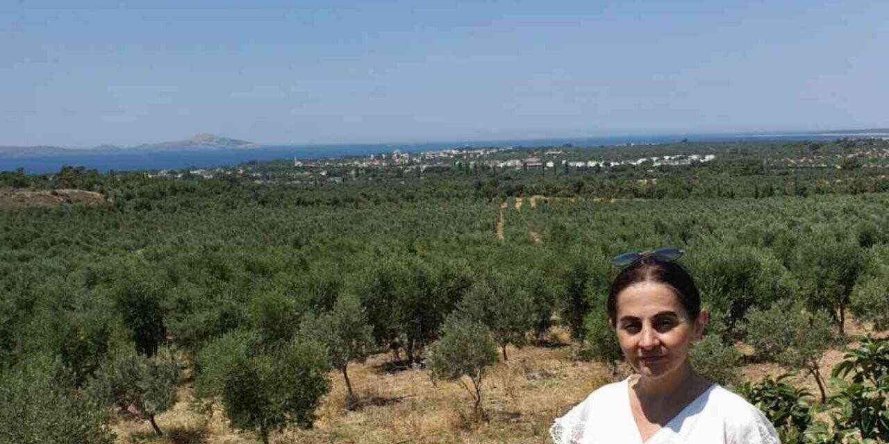 Dünya çapında firmalarla çalışan Türk iş kadını Yıldız Kalas Çanakkale’de zeytinyağı üretecek