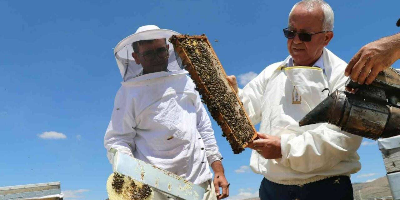 TAB Başkanı Şahin, gezgin arıcıları ziyaret ediyor