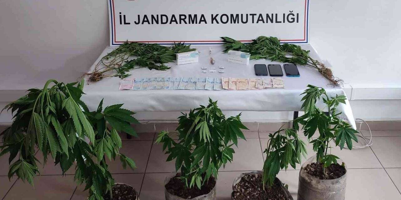 Artvin’de jandarmadan uyuşturucu operasyonu: 3 tutuklama