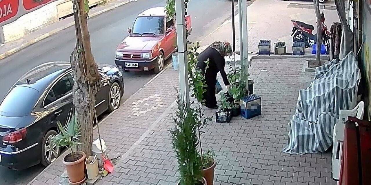 Önce suladı sonra kökünden sökerek çaldı