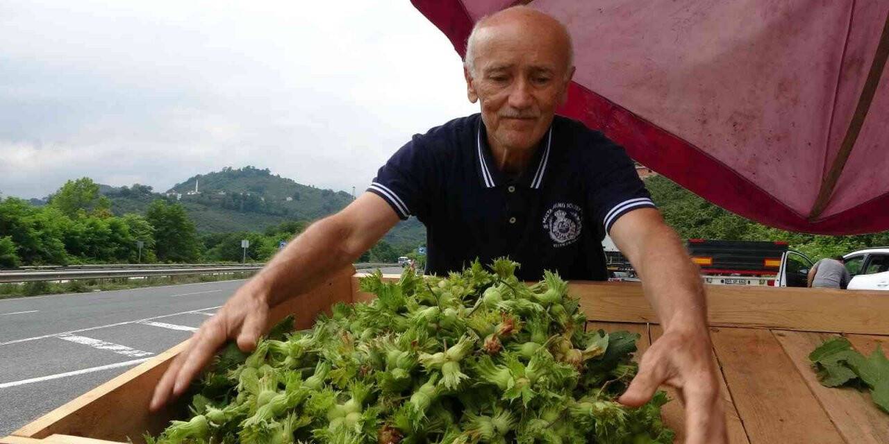 Ordu’da yeni fındık hasattan önce tezgahlarda