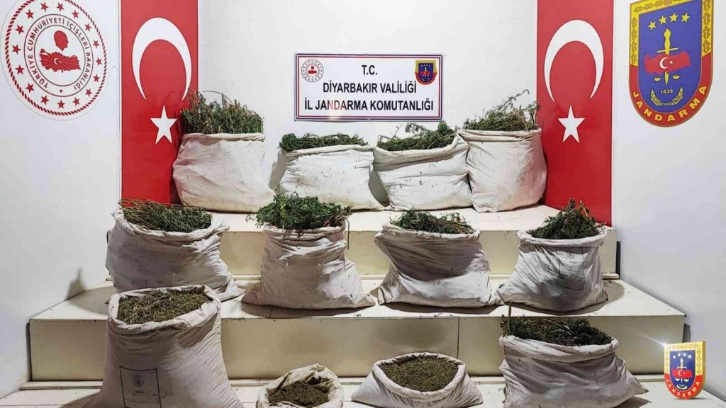 Diyarbakır’da "Eren Abluka" operasyonunda 3 milyon kök Hint keneviri ele geçirildi