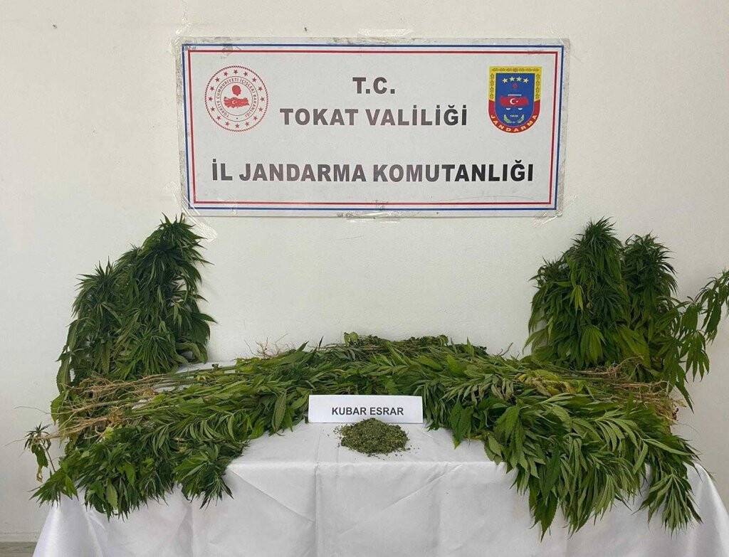 Tokat’ta uyuşturucu operasyonu, bir kişi tutuklandı