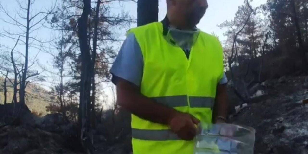 Marmaris ve Datça’da yangından etkilenen hayvanlara yem ve su desteği