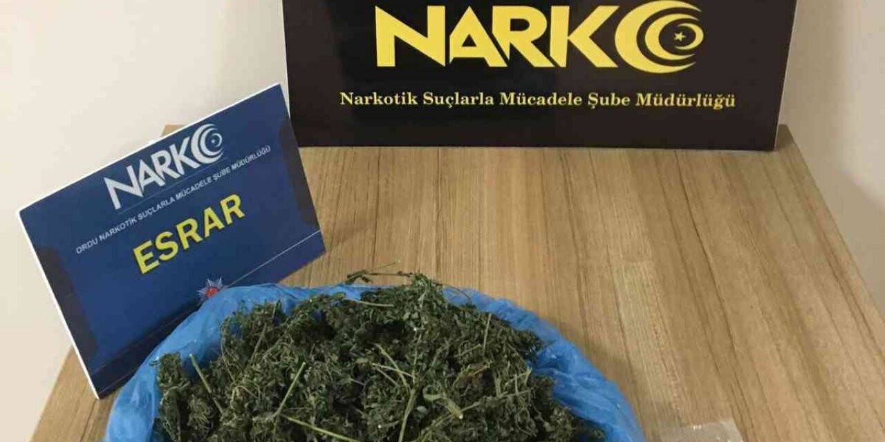 Ordu’da uyuşturucu operasyonlarında 1 tutuklama