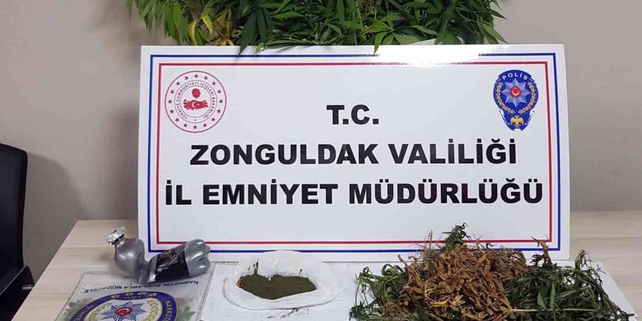 Uyuşturucu operasyonunda 118 kök kenevir ele geçirildi