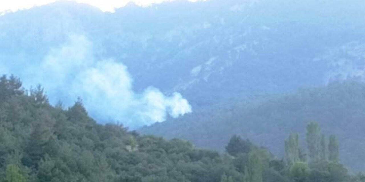 Aydın’da orman yangını