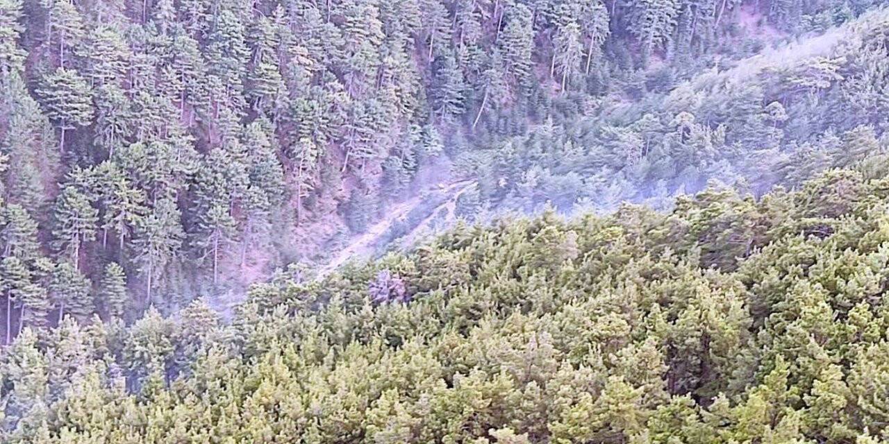 Aydın’daki orman yangını söndürüldü