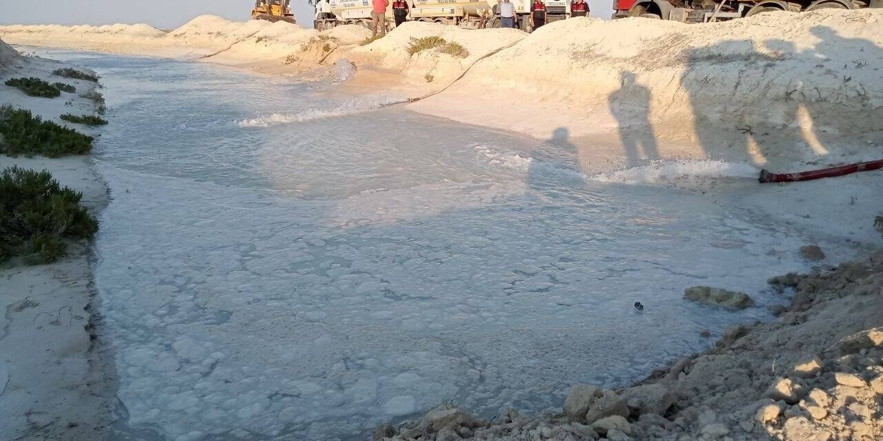 Yavrulamak için Tuz Gölü’ne gelen flamingolara can suyu