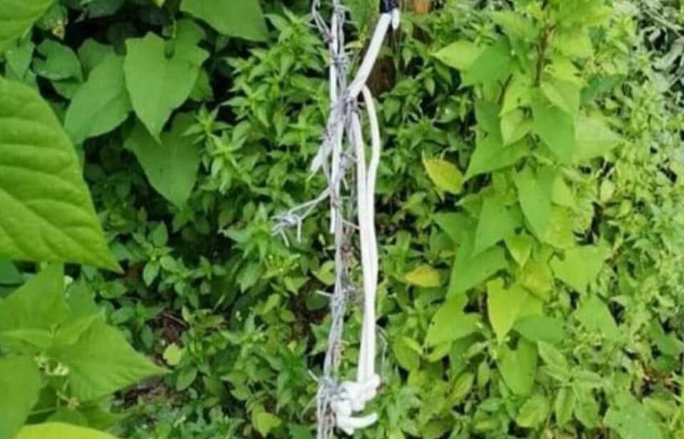 Domuzlar için tuzak kurdu, o tuzakta eşini kaybetti