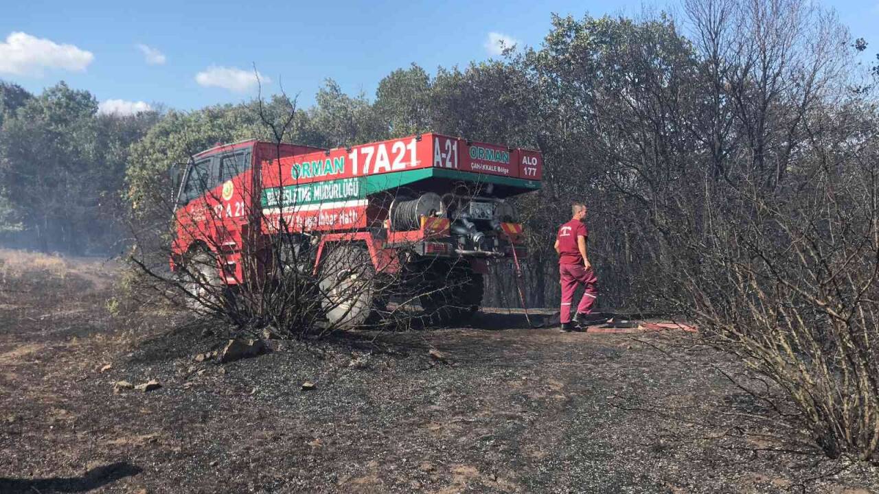 Çanakkale’de çıkan orman yangını kontrol altına alındı