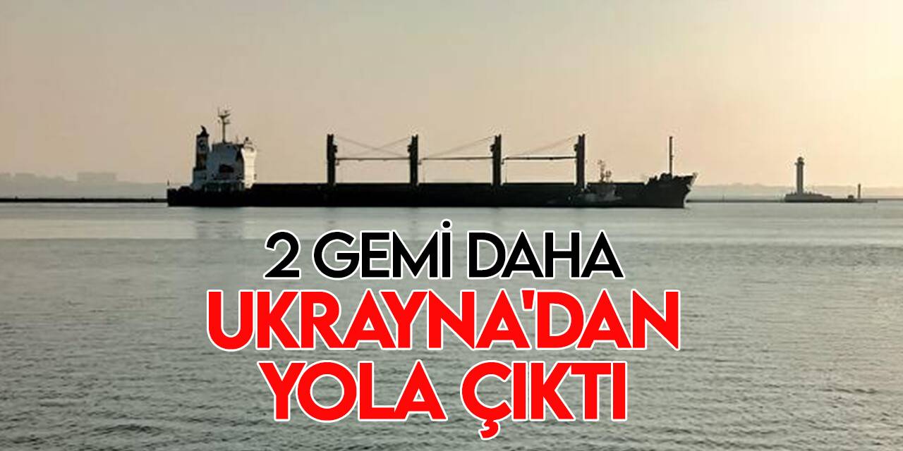 Tahıl taşıyan 2 gemi daha Ukrayna'dan hareket etti