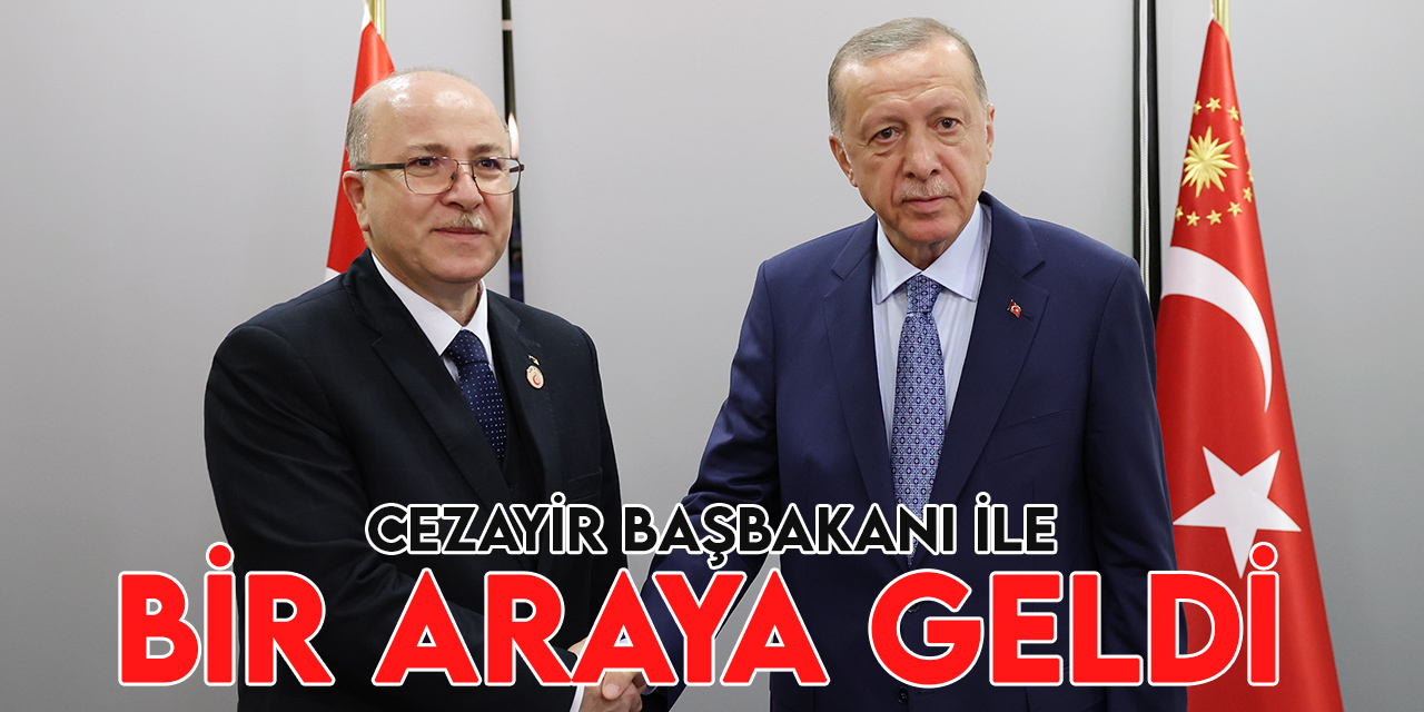 Cumhurbaşkanı Erdoğan, Cezayir Başbakanı Eymen bin Abdurrahman ile görüştü