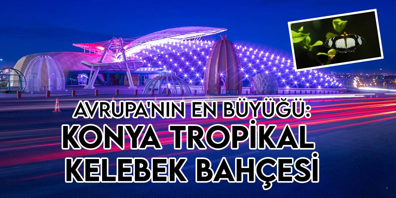 Konya Tropikal Kelebek Bahçesi İslami Dayanışma Oyunları süresince misafirlerini ağırlamaya devam edecek