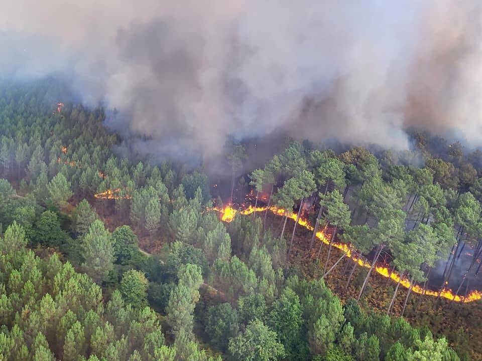 Fransa’nın güneybatısında orman yangını: 6 bin hektar alan kül oldu